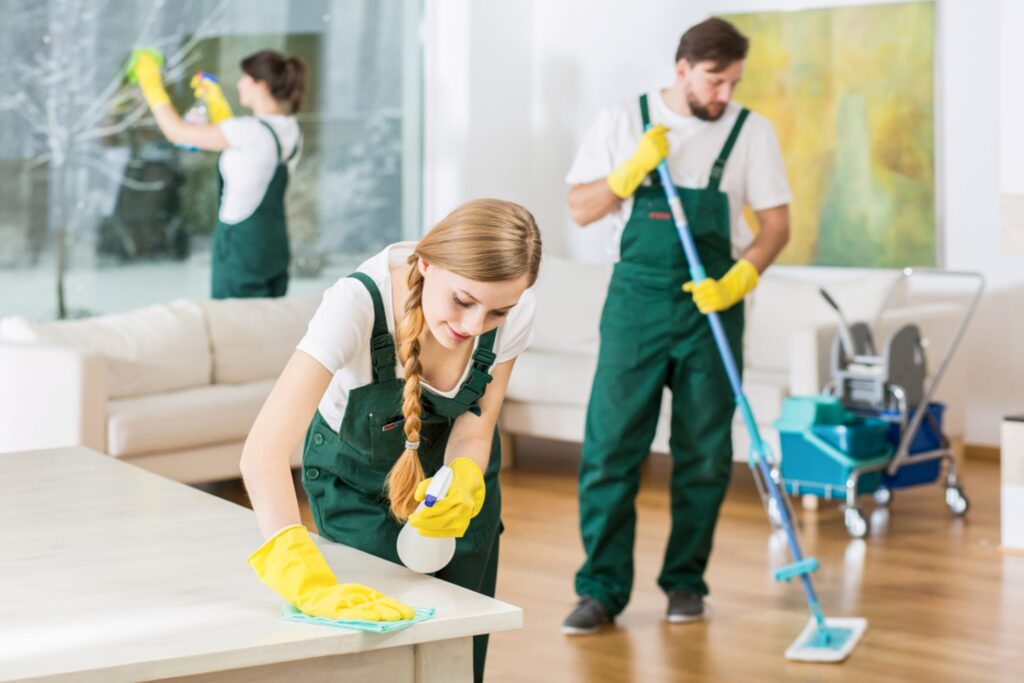 professional cleaning services.